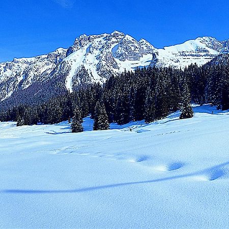 Campiglio Bilocale Monte Spinale Apartment Madonna di Campiglio Room photo